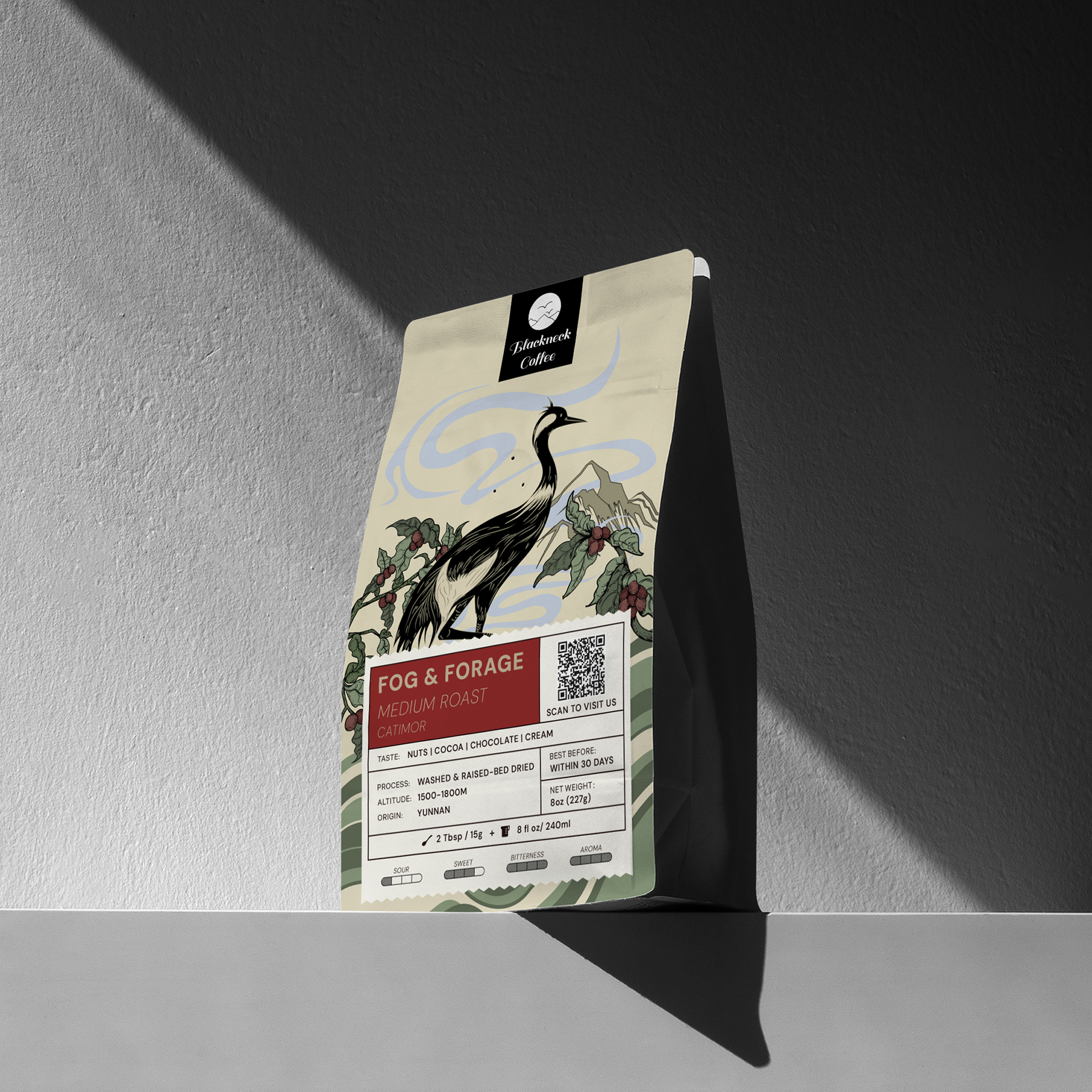 FOG & FORAGE (Medium Roast)